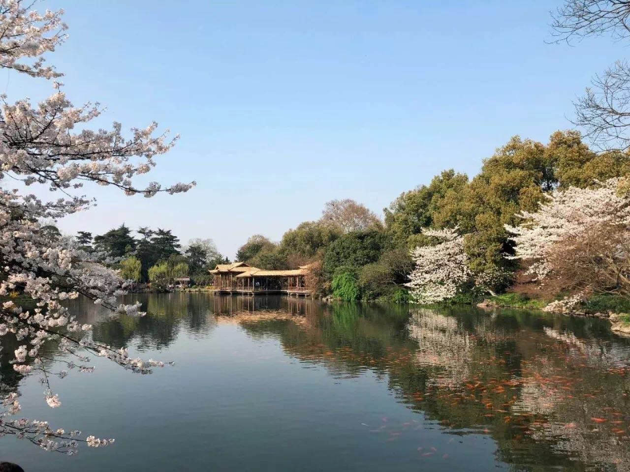 1522942666664418.jpg 1.jpg