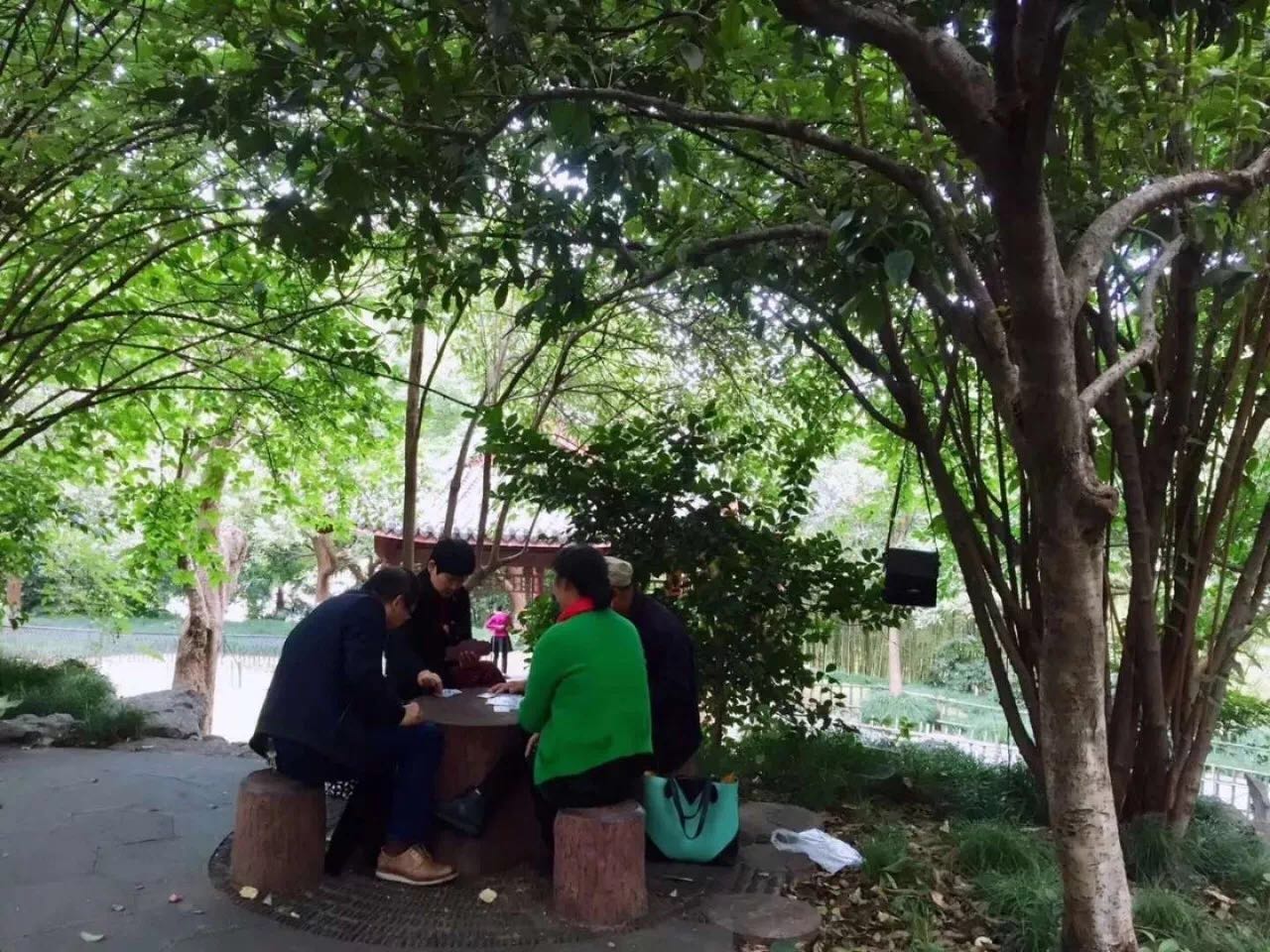 1522942726836689.jpg 5.jpg