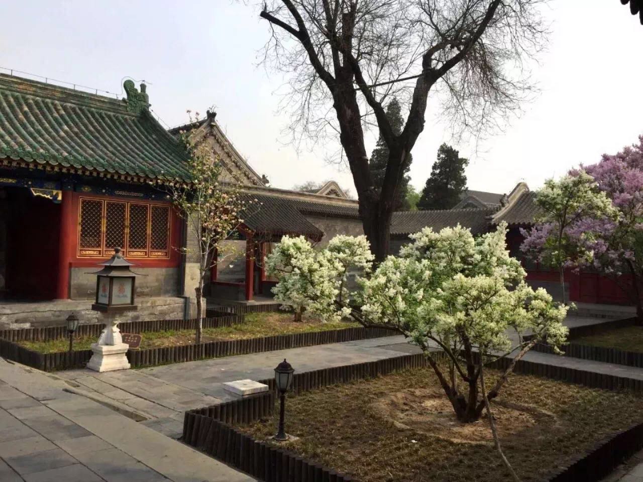 1522942952635321.jpg 11.jpg