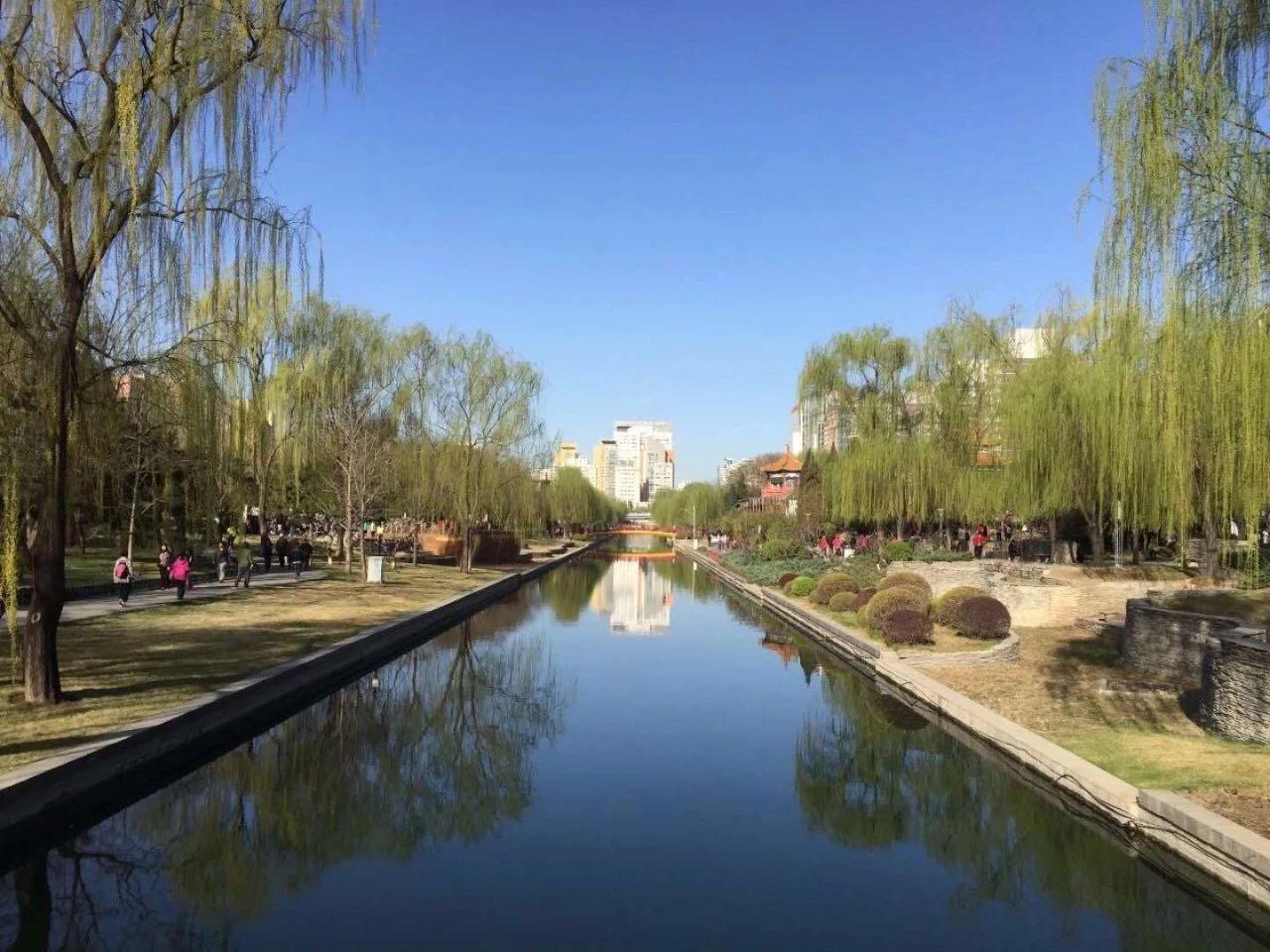 1522942888910271.jpg 15.jpg