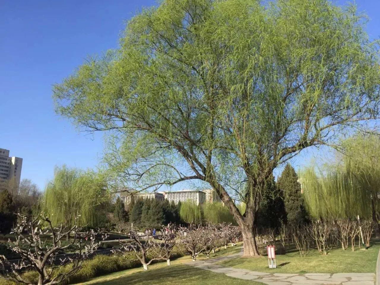 1522942878753744.jpg 14.jpg