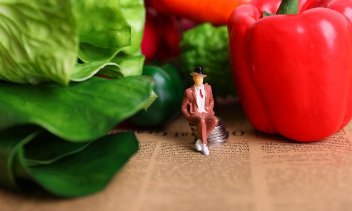 ũʶ62Ԫ չռؽھ__̱