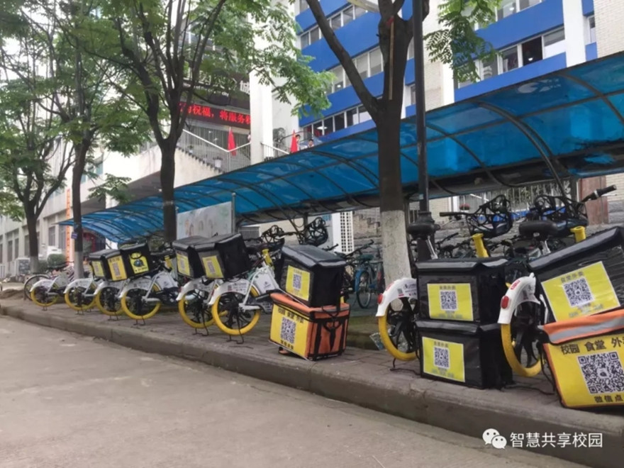 1530781013893541.jpg 蚂蚁1_副本.jpg