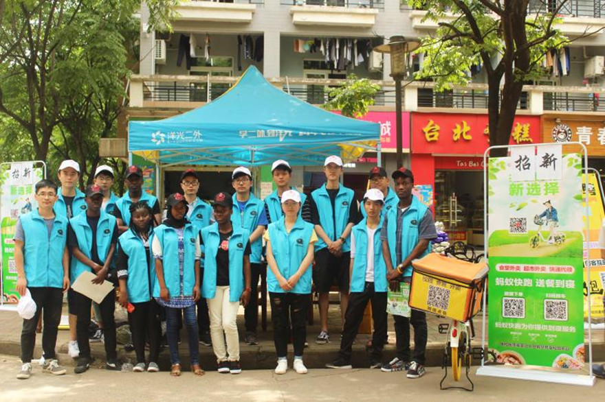 1530781031134523.jpg 蚂蚁2_副本.jpg